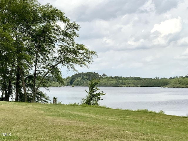 1005 Sunnybrook Rd S, Wilson, NC 27893 - view of water feature featuring a wooded view