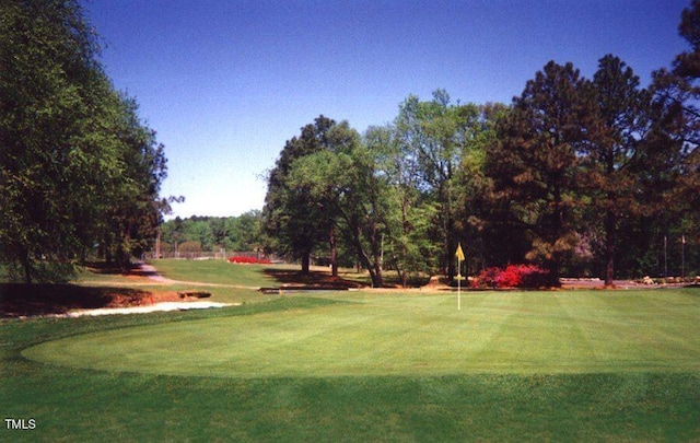 view of home's community featuring a yard