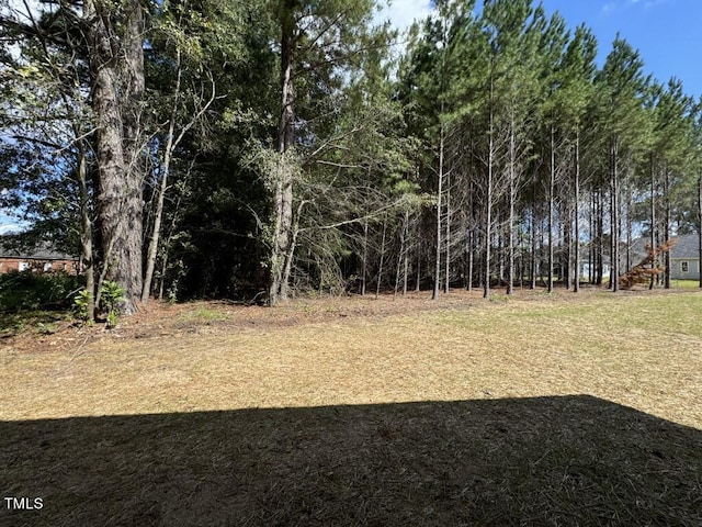 1005 Sunnybrook Rd S, Wilson, NC 27893 - view of yard