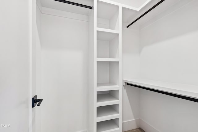 view of spacious closet