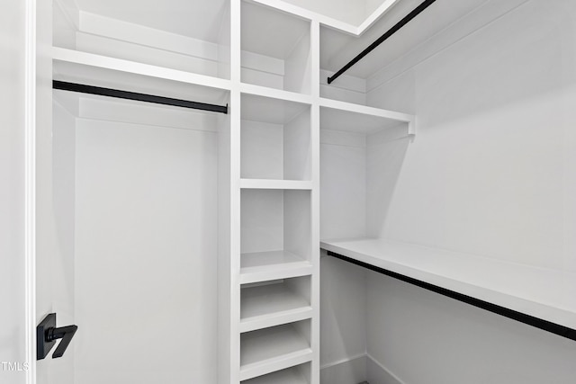 view of spacious closet