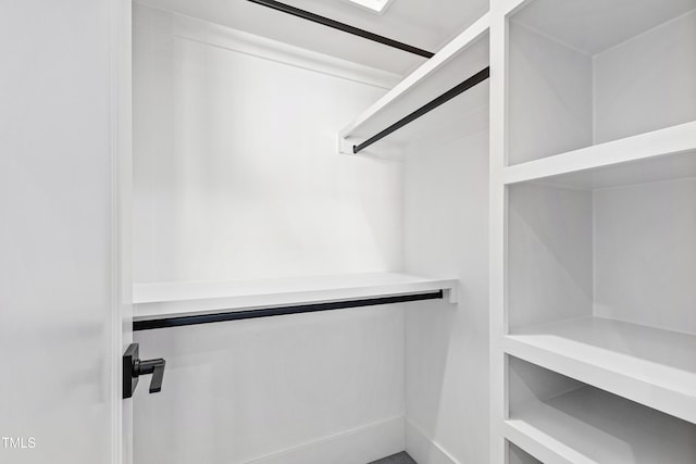 view of spacious closet