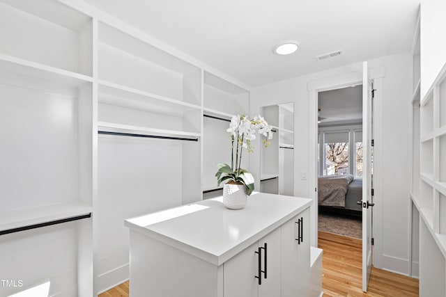 walk in closet featuring light hardwood / wood-style flooring