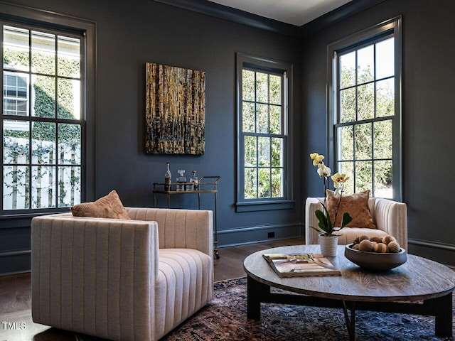 sitting room with hardwood / wood-style flooring and a wealth of natural light