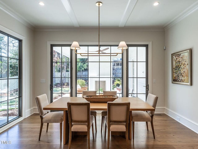 dining room featuring a notable chandelier, dark hardwood / wood-style floors, and crown molding