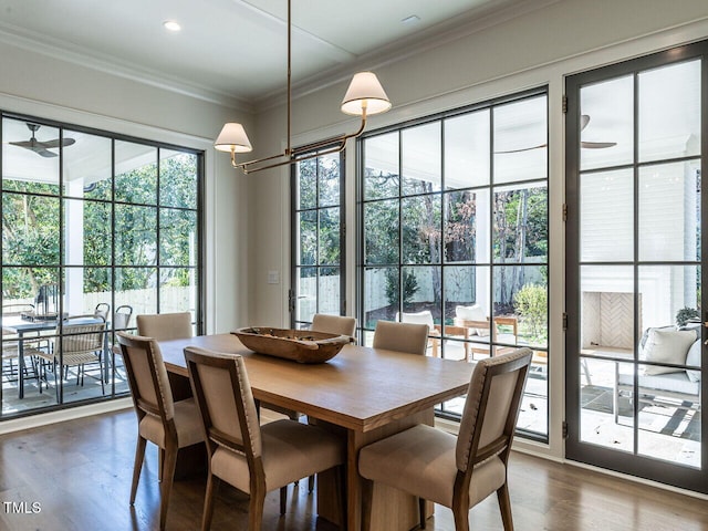 dining space featuring crown molding, ceiling fan, and dark wood-type flooring