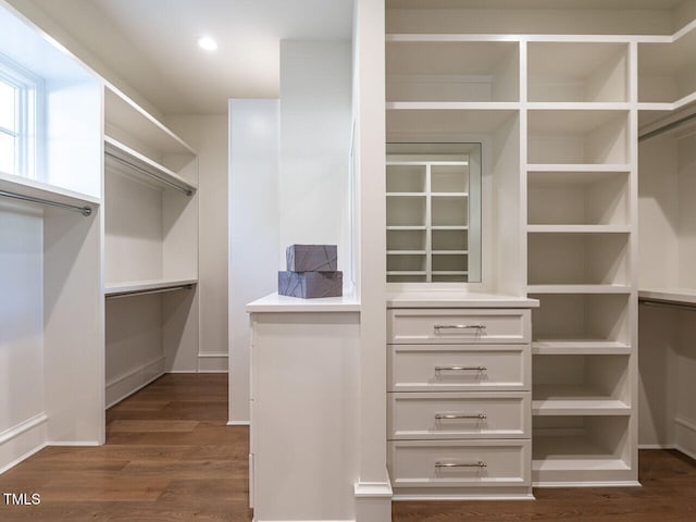 walk in closet featuring dark hardwood / wood-style floors