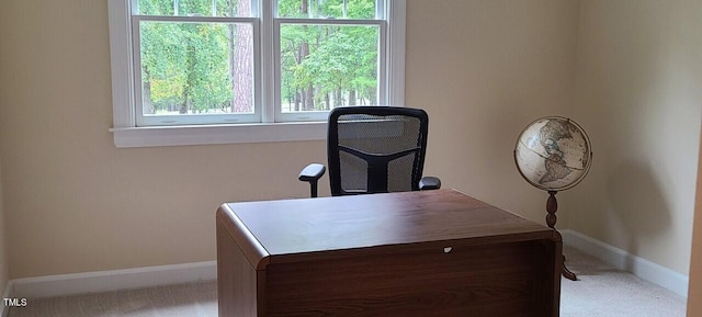 office space with carpet floors and baseboards