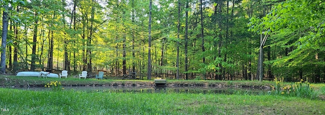 view of landscape with a wooded view