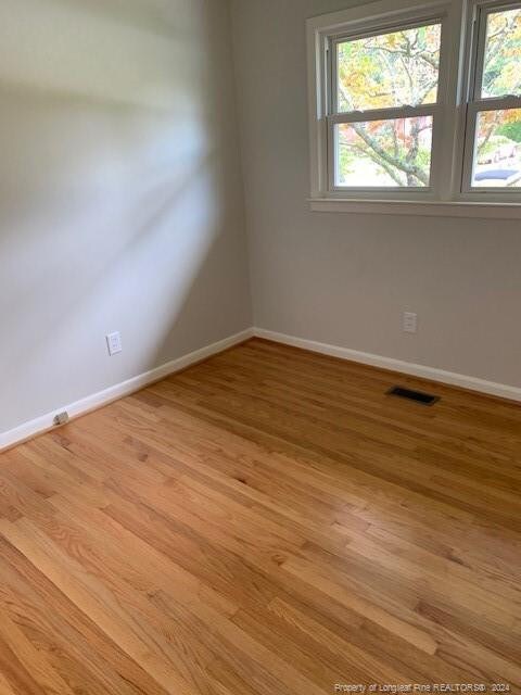 spare room with light hardwood / wood-style floors and plenty of natural light