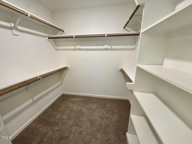 walk in closet with carpet