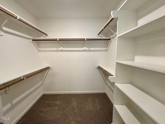 235 Grand Griffon Way, Lillington, NC 27546 - spacious closet with carpet