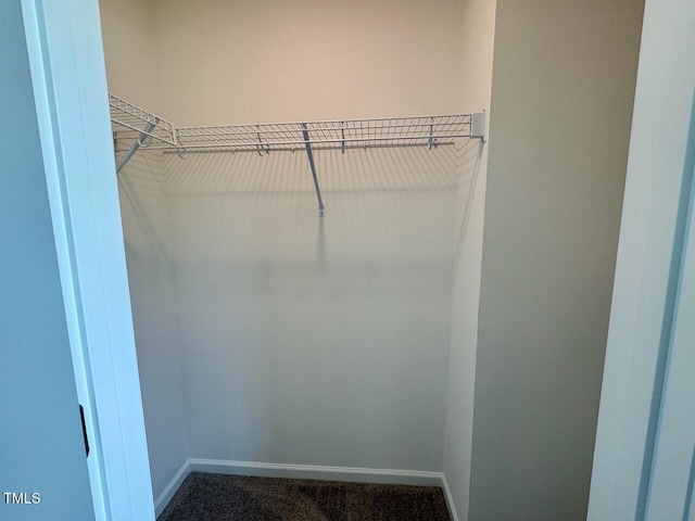 235 Grand Griffon Way, Lillington, NC 27546 - spacious closet with carpet flooring