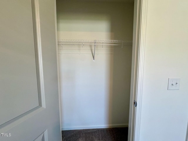 235 Grand Griffon Way, Lillington, NC 27546 - view of closet