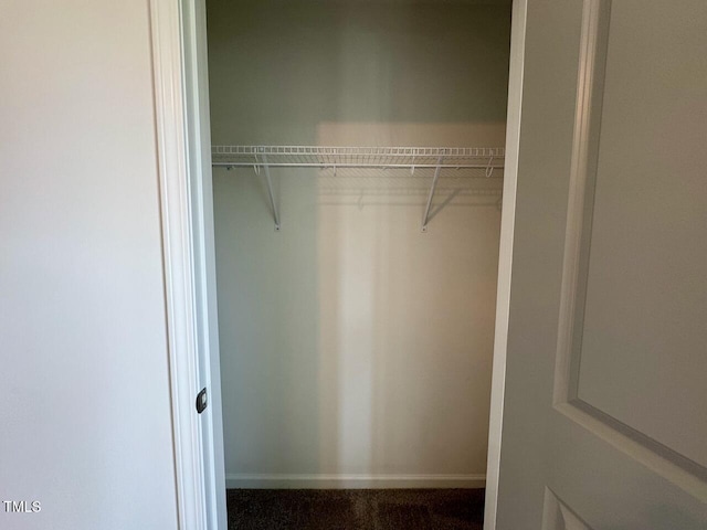235 Grand Griffon Way, Lillington, NC 27546 - view of closet