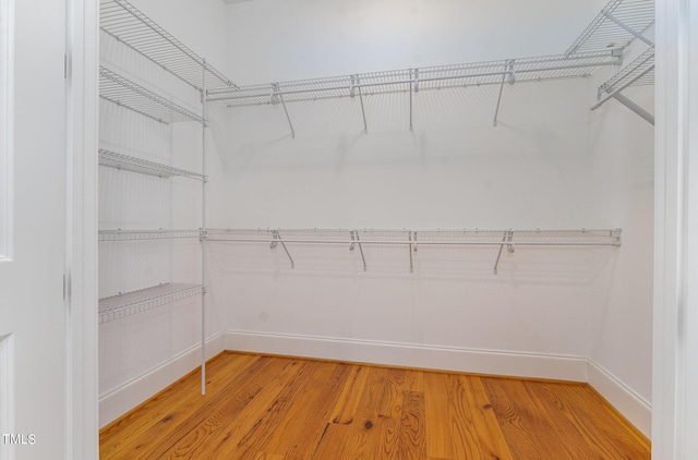 spacious closet with hardwood / wood-style floors