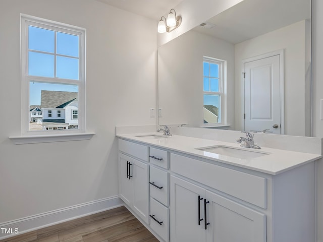 bathroom with hardwood / wood-style floors, a wealth of natural light, and vanity