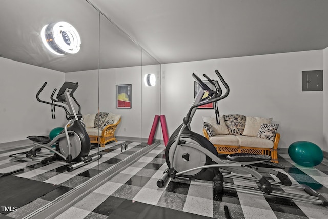 exercise area featuring electric panel