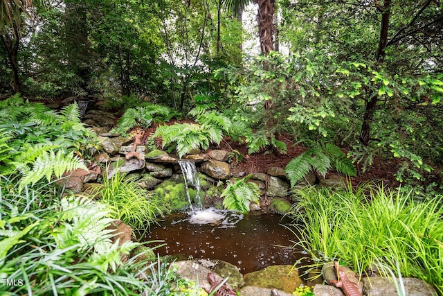 view of nature featuring a garden pond