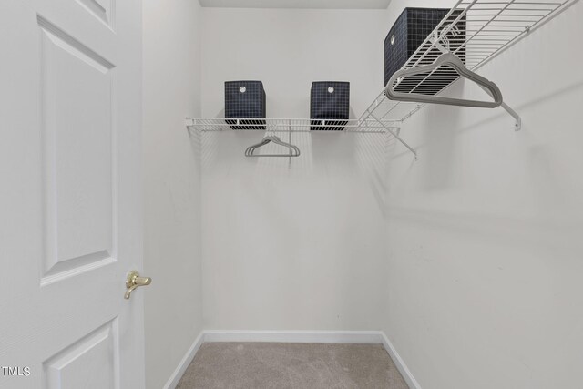 spacious closet with light colored carpet