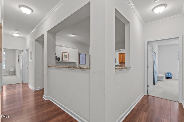 corridor featuring ornamental molding and dark wood-type flooring