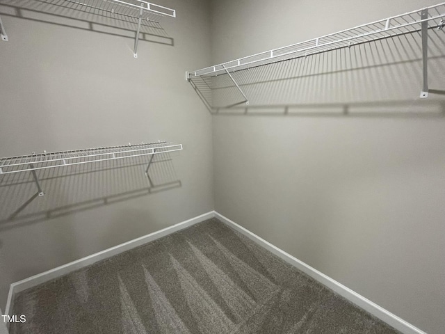 53 Grace Ridge Ct, Benson, NC 27504 - walk in closet featuring dark colored carpet