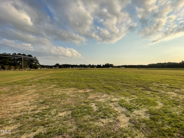 53 Grace Ridge Ct, Benson, NC 27504 - view of yard