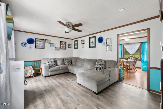 living room with light hardwood / wood-style flooring, ceiling fan, crown molding, and a textured ceiling