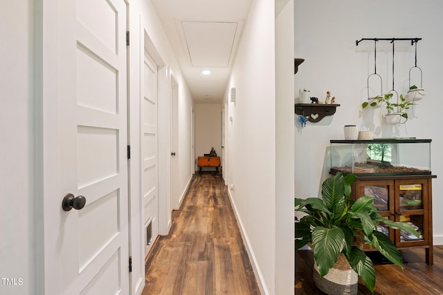 hallway featuring dark hardwood / wood-style flooring