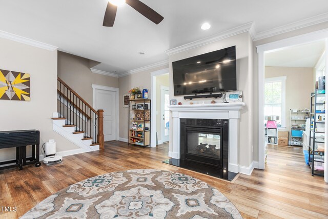 living room with wood-type flooring, a multi sided fireplace, crown molding, and ceiling fan