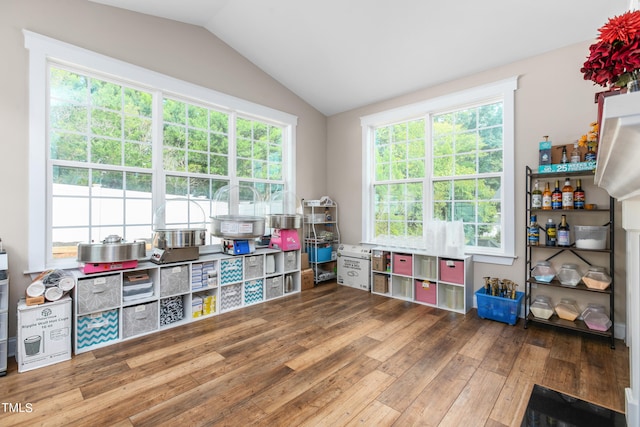 game room with a wealth of natural light, vaulted ceiling, and hardwood / wood-style flooring