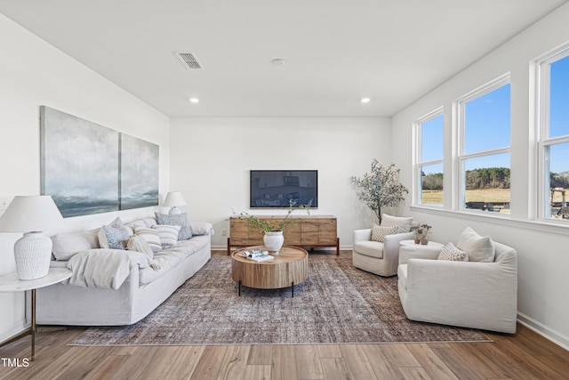 living room featuring wood-type flooring