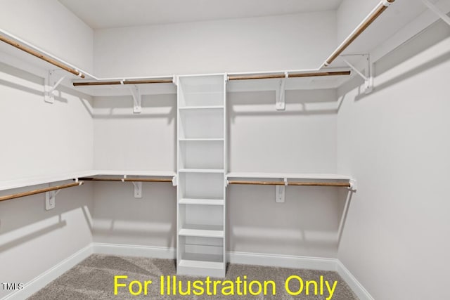 walk in closet with carpet flooring