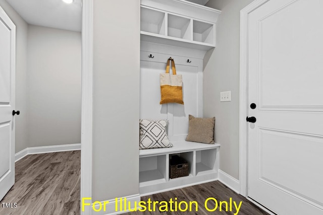 mudroom with wood-type flooring