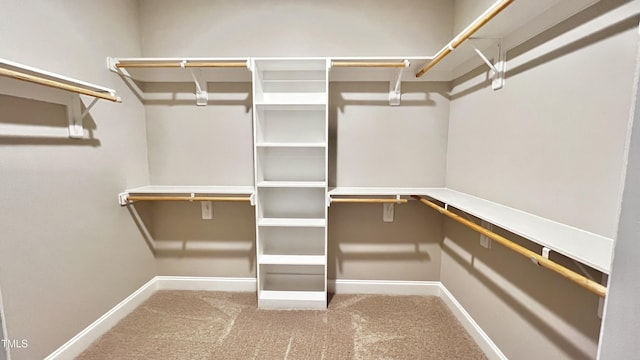 walk in closet featuring carpet