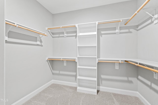 spacious closet with carpet flooring