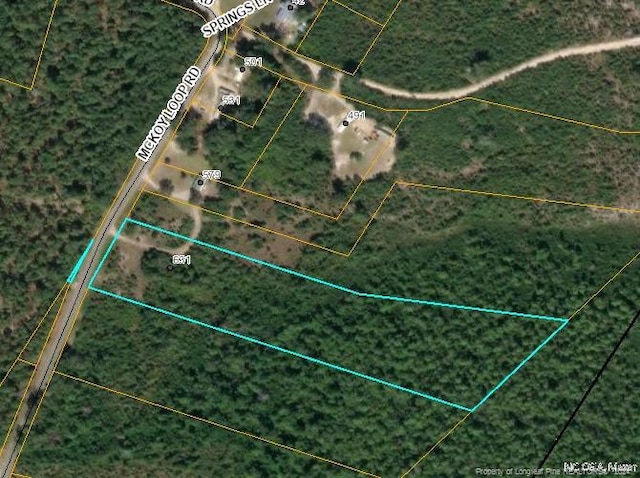 0 Mckoy Loop Rd, Ivanhoe, NC 28447