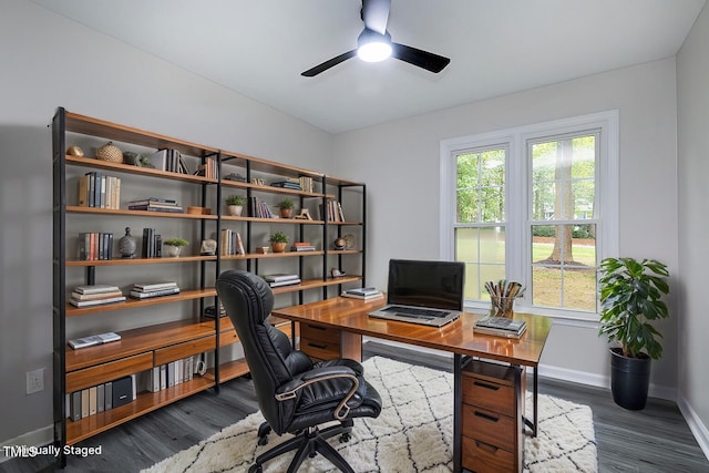 office with dark hardwood / wood-style floors and ceiling fan