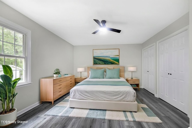 bedroom featuring ceiling fan, dark wood-type flooring, multiple windows, and multiple closets