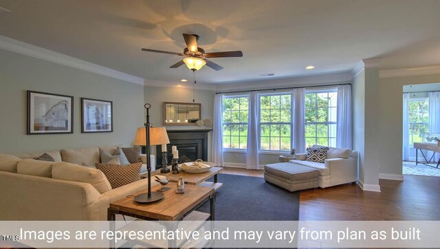 living room featuring ceiling fan, dark hardwood / wood-style floors, and crown molding