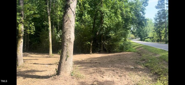 766 T Bar Rd, Benson, NC 27504 - photo 6