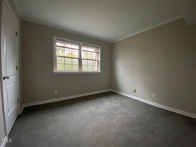 carpeted empty room with crown molding