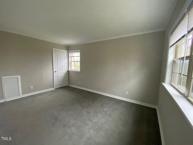 carpeted spare room featuring crown molding