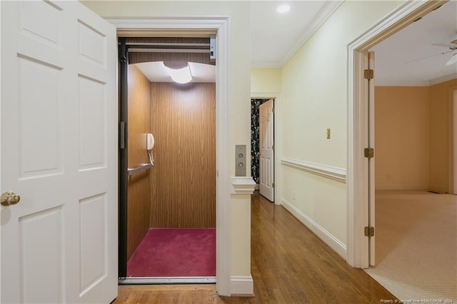 hall featuring hardwood / wood-style flooring, crown molding, and elevator