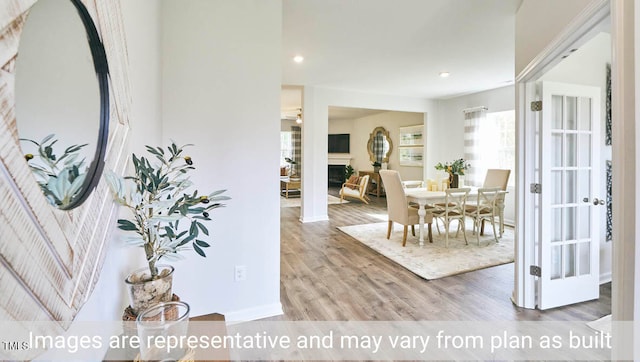 interior space with hardwood / wood-style floors