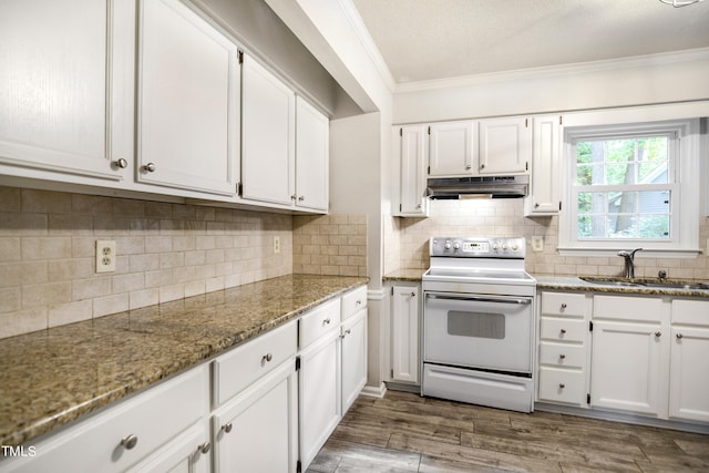 kitchen featuring light stone counters, sink, dark wood-type flooring, white cabinetry, and white range with electric stovetop