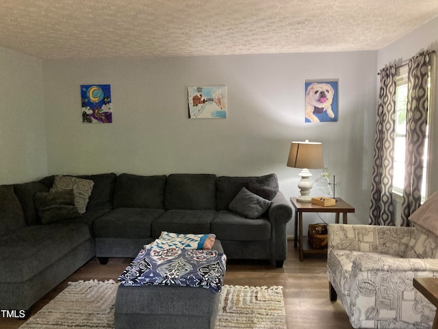 living room featuring wood-type flooring and a textured ceiling