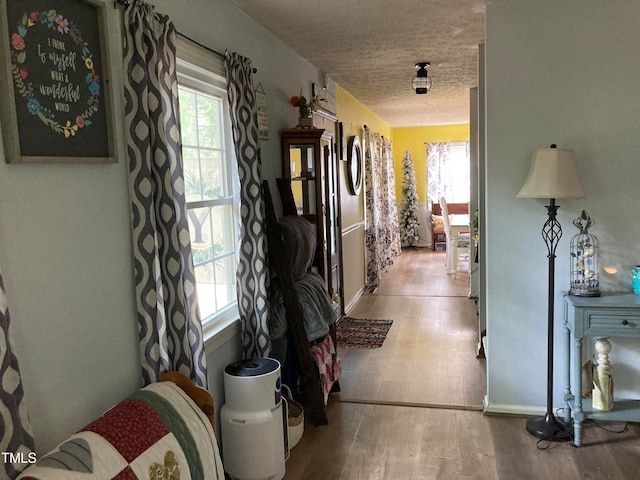 corridor with a textured ceiling, light hardwood / wood-style flooring, and a wealth of natural light