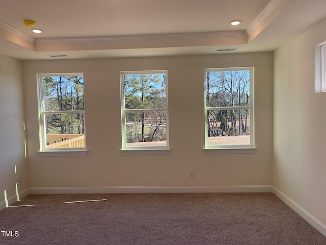 empty room featuring a raised ceiling, carpet floors, crown molding, and plenty of natural light