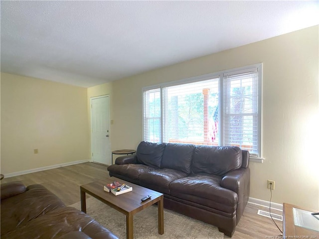 living room featuring light hardwood / wood-style flooring